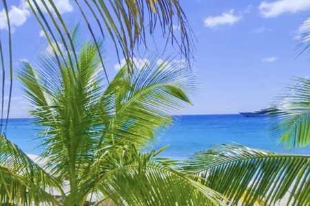 ���̹�˾���ִ�ȫ