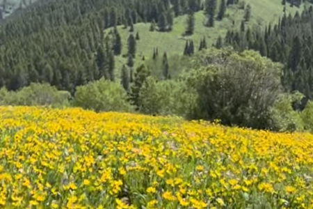 �Q(m��o)�׹�˾���M(f��i)ȡ��