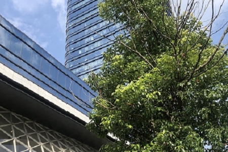 2020�k����Ʒ��������ȫ