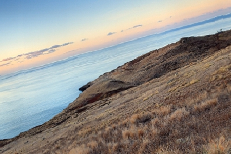 ���ۻ�c��˾���Q��ȫ