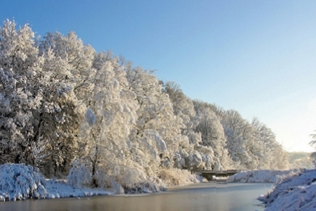 �Є����I��˾����