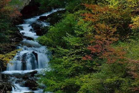 �м������x�Ĺ�˾���Q