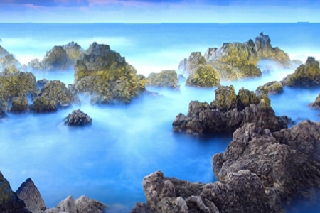  �ŵ��ζ�ĵ������