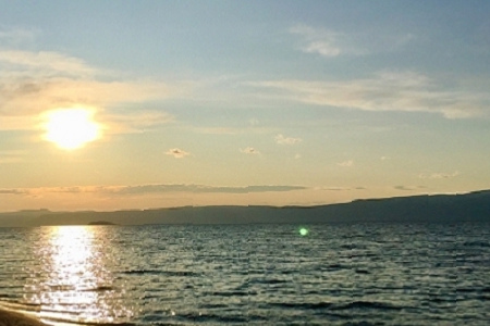 2020���и�Ⱦ���Ĺ�˾���ִ�ȫ