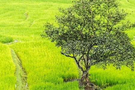 �� ����������˾����