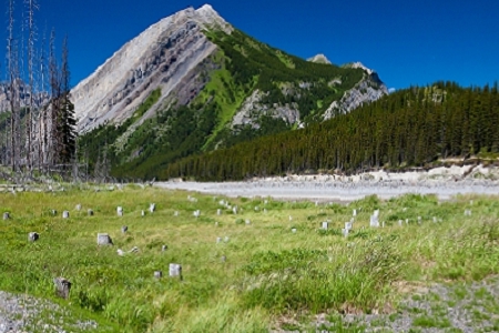 ���жU��Ĺ�˾�����