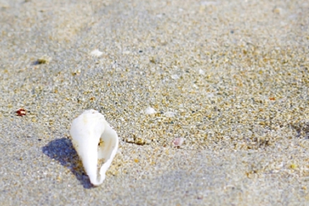 ��؛�ʳ�̵�ȡ���ִ�ȫ��