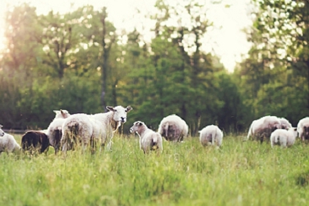 �� �Ļ��W��˾���Q��ȫ