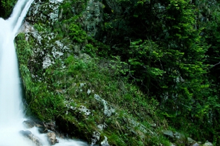 �� ���������c����