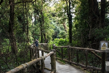 ����Ѓ�(n��i)���Ĺ�˾���ִ�ȫ