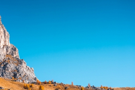 �Є�����������˾����