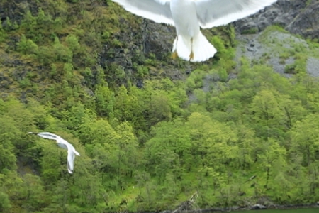 ����O(sh��)�乫˾ȡ����ȫ��