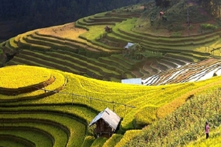 ��܇��˾���ִ�ȫ�� ���