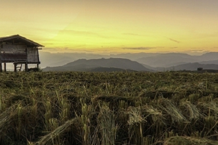 �� �����y��˾���Q