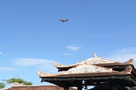 好聽的佛教用品公司名稱大全