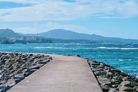 �� �ľƘ����ִ�ȫ����ɫ