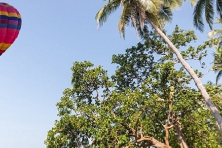 ��܇���Q�N�۹�˾���Q��ȫ