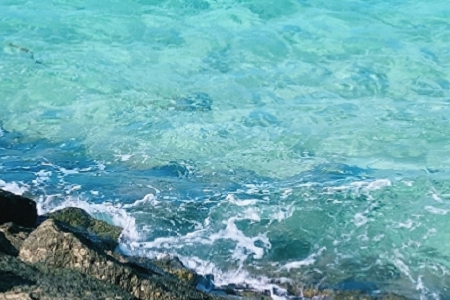 �F����Ͷ�Y��˾���ִ�ȫ��