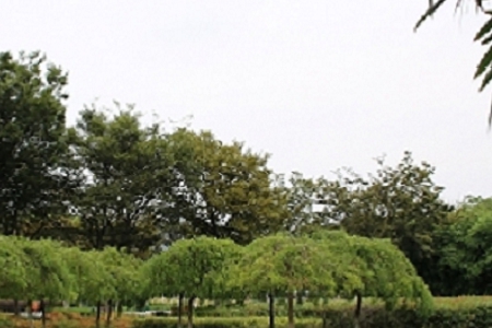 ע��(c��)С�͈@�־G����˾