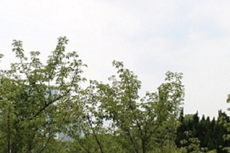 ��Ӱ������֙C(j��)��˾���Q��ȫ