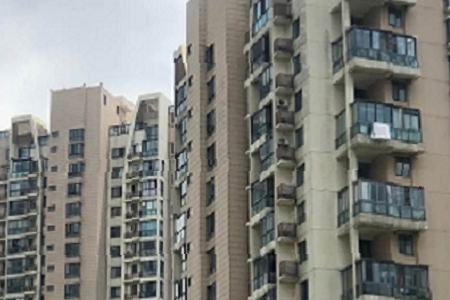 �����µĹŶ������Q