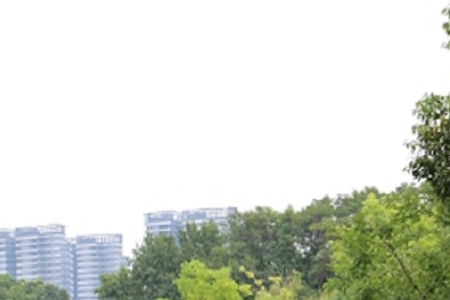 簡單又有創意的漢堡店名