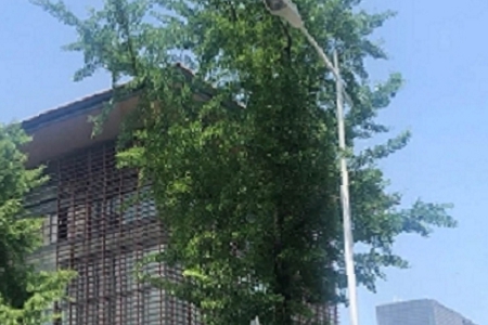 �������ȡ���ִ�ȫ