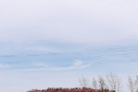 ���b���������ֺ�(ji��n)�����