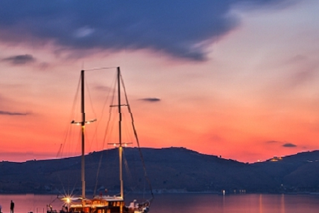 ���δ��Ĺ�˾ȡ��