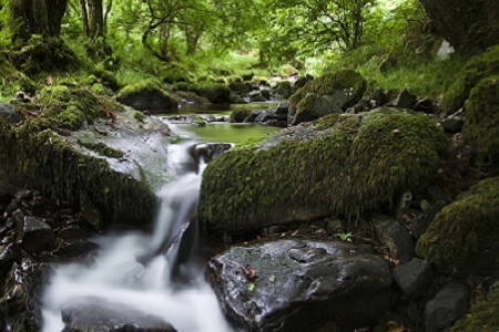 �Є�(chu��ng)��ı���Ʒ��˾��