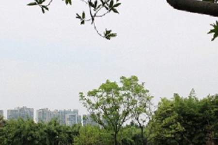 ���Ĵ����������