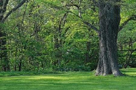 �o��˾��������x����