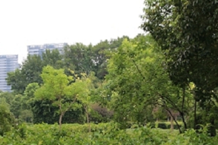 ���wˎ��ȡ����ȫ