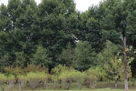 �ɂ��ֹ�˾���ִ�ȫ���]