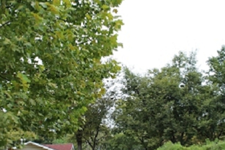 ��܇���U���޹�˾��������