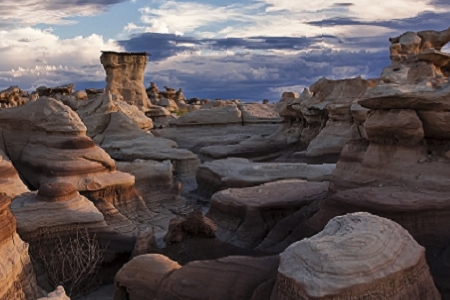 �坍������˾���Q����