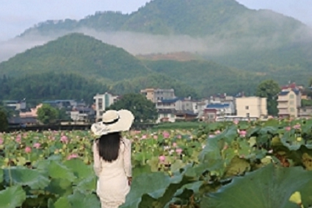 2021���c��˾���֕r�д��