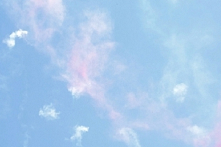 Ԣ���d���İ�ҹ�˾���ִ�ȫ