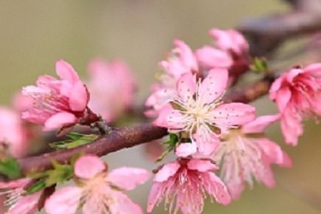 �Ƽ���˾����������ȫ