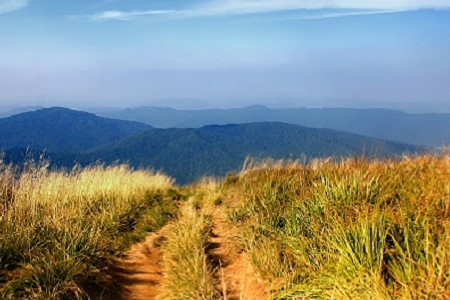 �и��{�Ļ������ִ�ȫ