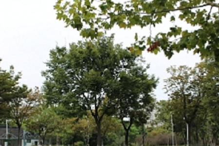 2021�꽛�o��˾���ִ�ȫ