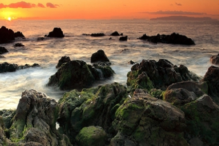 Ԣ��ô��Ĺ�˾���Q