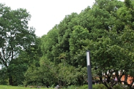 �o��������������2021