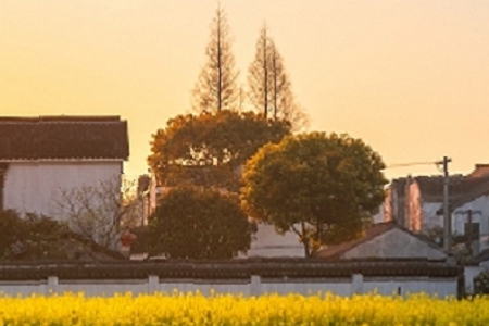 �Ƶ���Ʒ��˾���ִ�ȫ