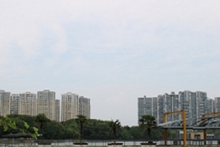 ��ľ�����P�Ĺ�˾����