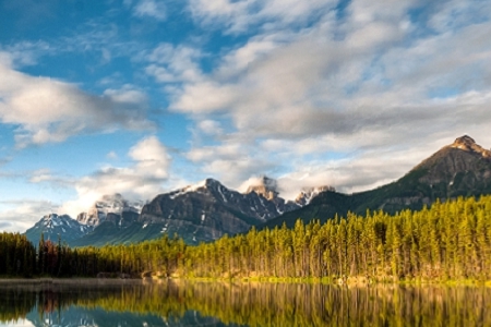 �� ���Ʒ�W������