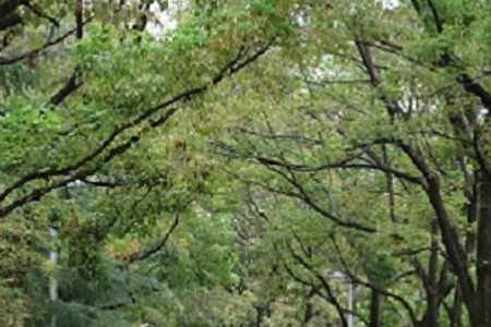 ��ˮ���Ϲ�˾���������