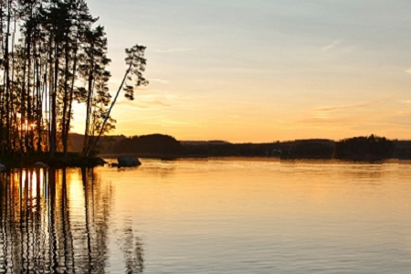 ���ַ��н鹫˾������ȫ