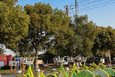 ���^���H���Ĺ�˾����