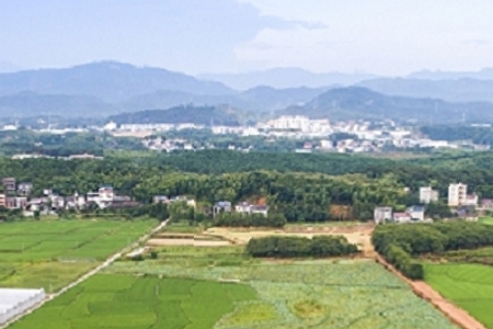 �o��˾��һ����������